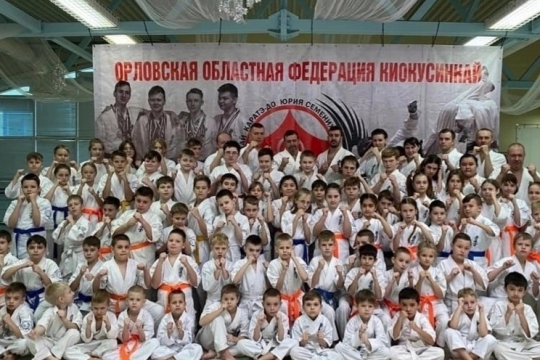 Что такое Киокушинкай каратэ-до и чем оно полезно вашему ребенку и вам?
